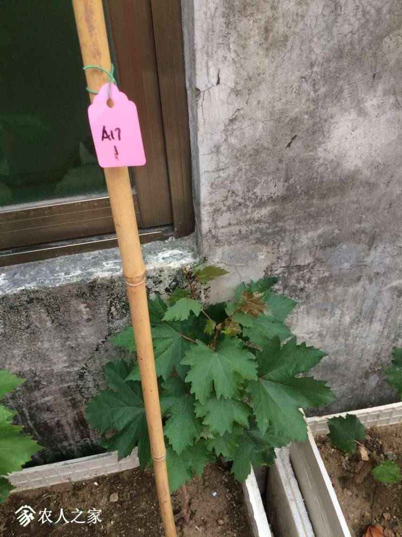213417yjjpi2jj11jzj55k.jpg