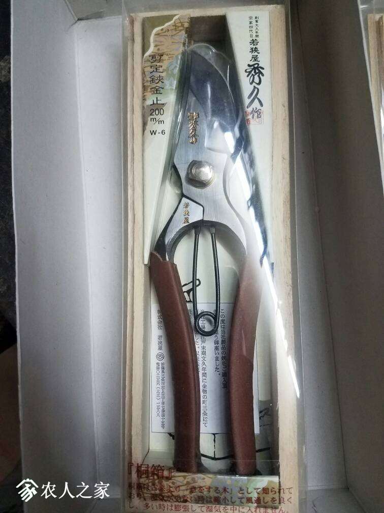 220745jqqxqykaiqja4zsx.jpg