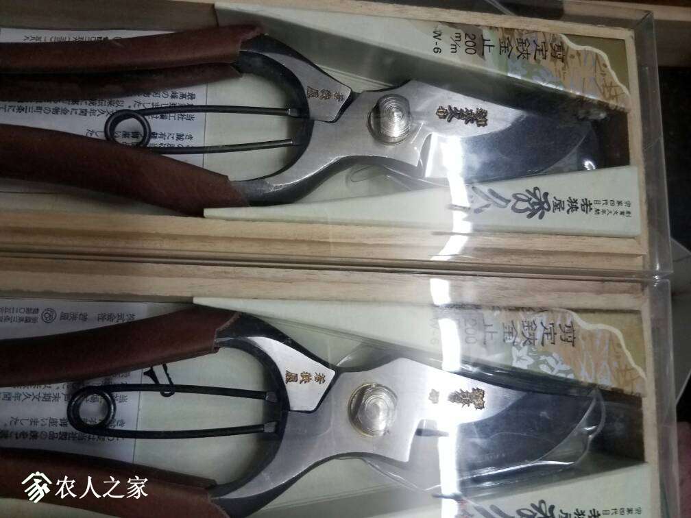 220745kp7mwfugsc3gu3zg.jpg