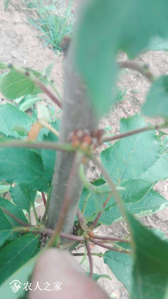 120250f68x6qj04xn645oo.jpg