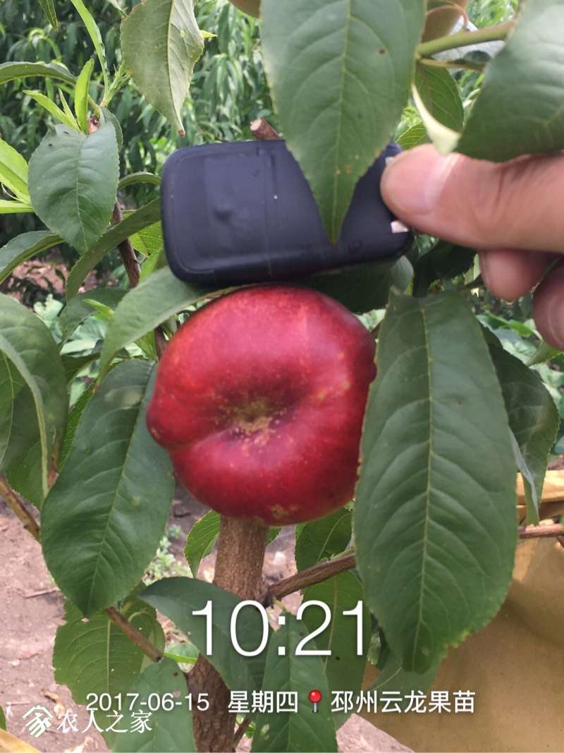 122915k6vrkzzpx926cq6b.jpg