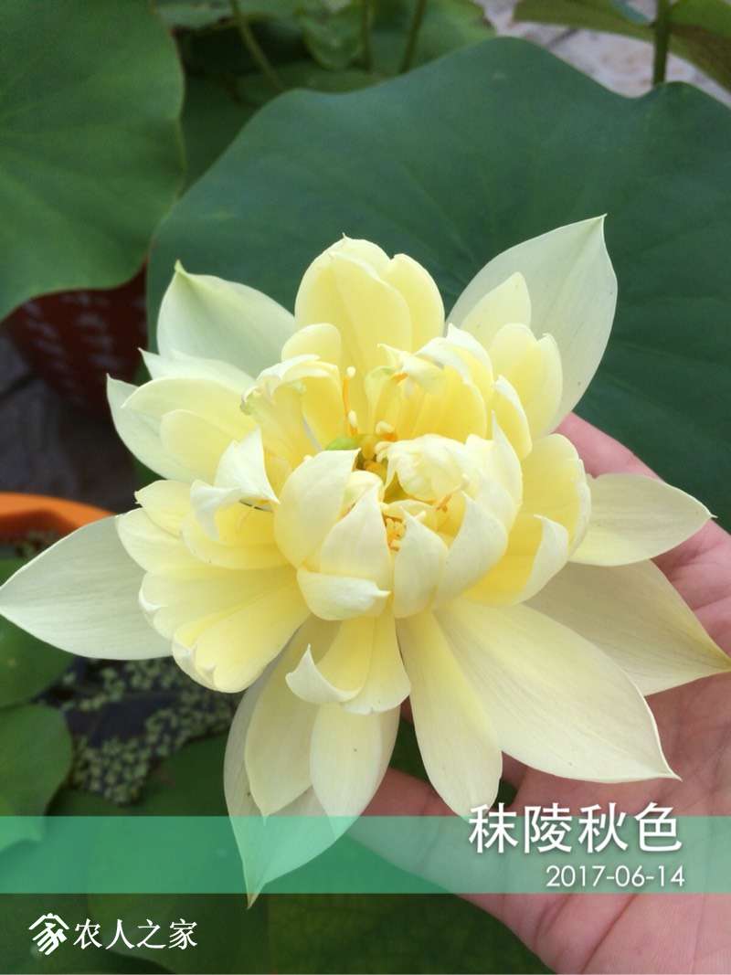 151457env5q5vfkskwwhwv.jpg