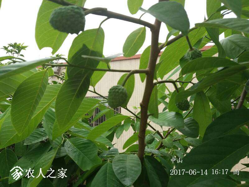 171442idb3zxquye5yuqiz.jpg