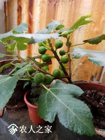 20170613_142414.jpg
