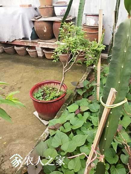 20170513_084131.jpg
