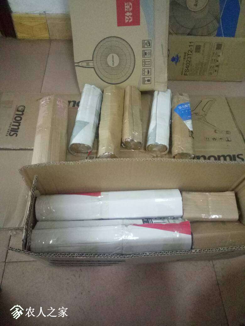 172209pyufciniqs2qzq9f.jpg