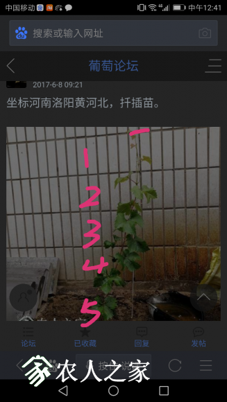 IMG_20170617_124334.png