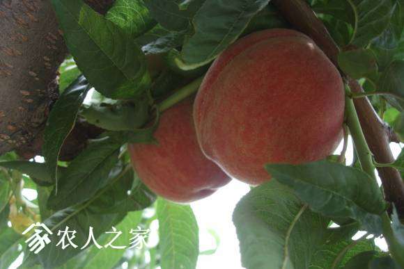17С 045.jpg