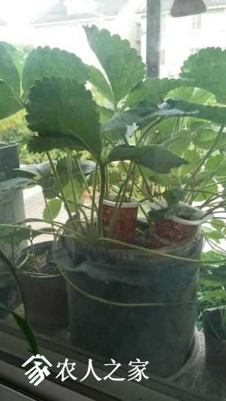 IMG20170618172644.jpg