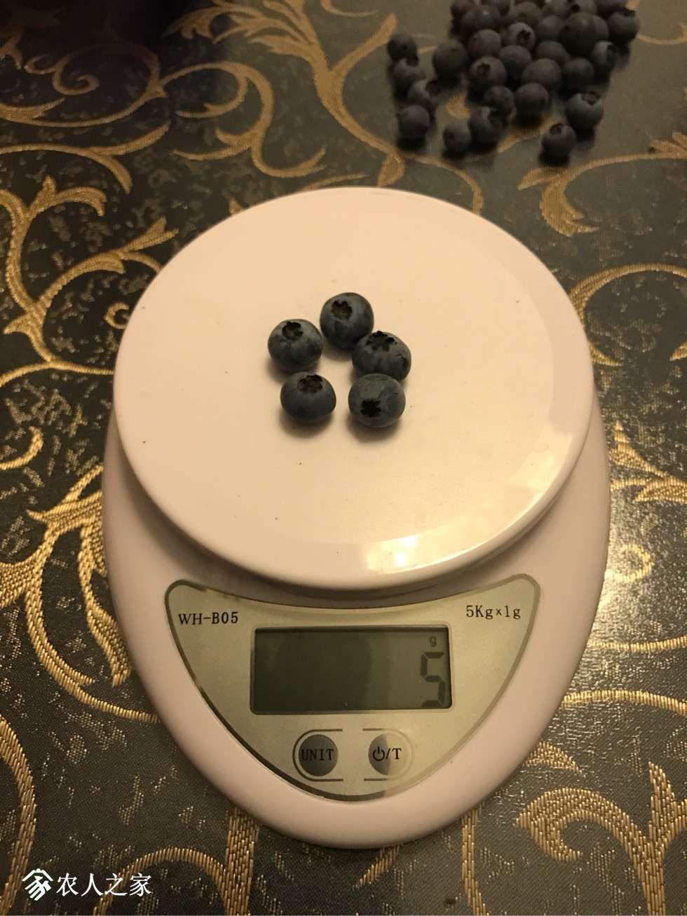 201951fsk69k8wwisn3n5i.jpg