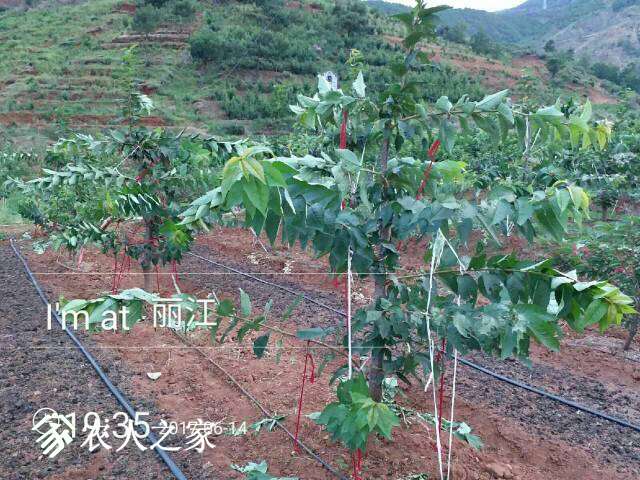 120534kg81l12q2uxo4h3l.jpg