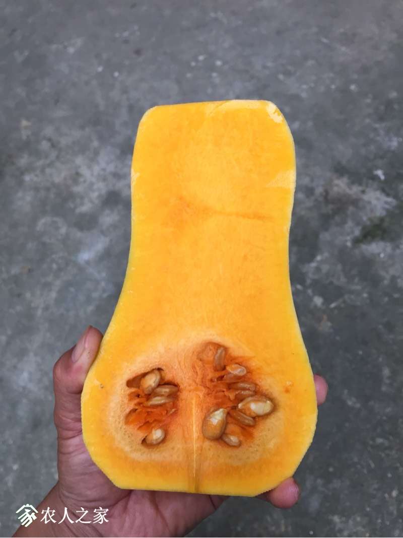 133154hwgz4u8aym1lrmrr.jpg
