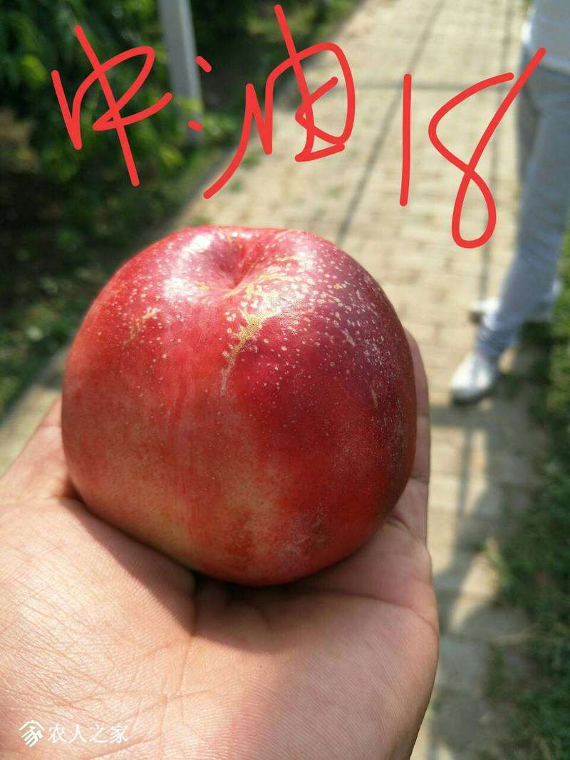 202320ip1pq234y333py3k.jpg