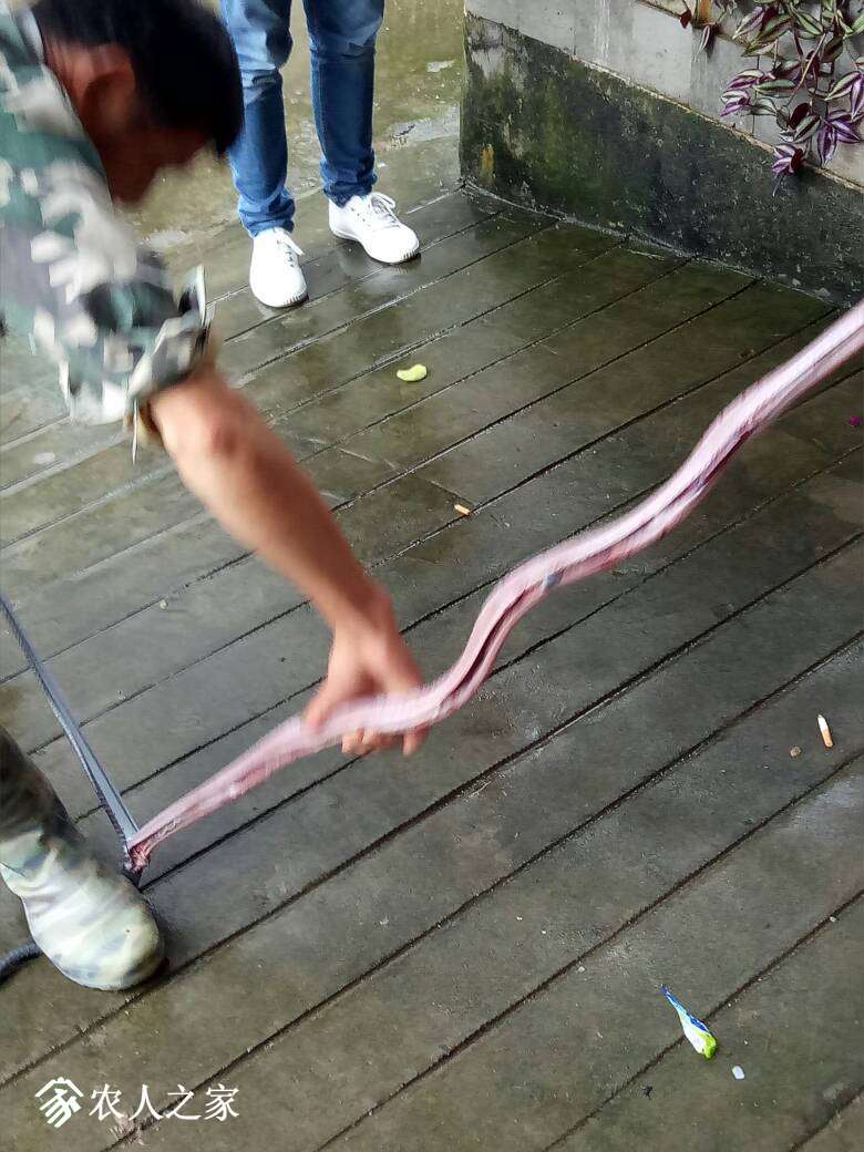 094415swvokmfhf4j9y4zm.jpg