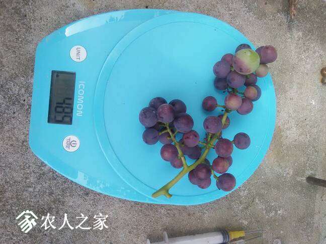 165321h41mqq2ugbiyq1mu.jpg