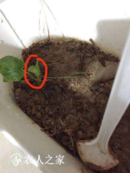 ΢��ͼƬ_20170620170831.jpg