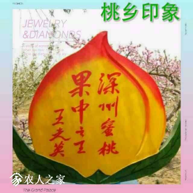 003126of5n7rng3z56x5fa.jpg