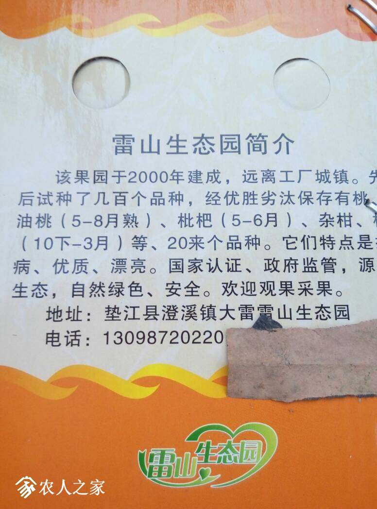 062146xupfmrfzwefrancr.jpg