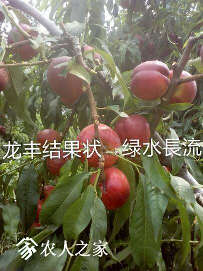 132559xukm2spfkkp6ssus.jpg