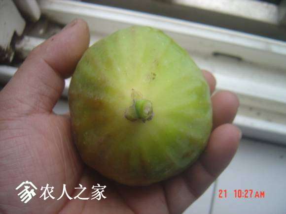 DSC04834.JPG