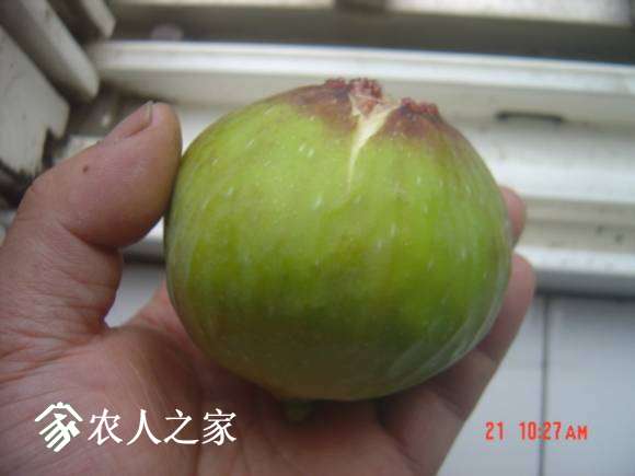 DSC04835.JPG