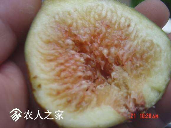 DSC04839.JPG
