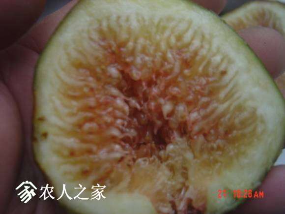 DSC04840.JPG