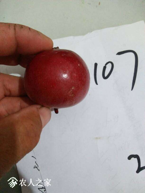 203328ikzork75jr5bzwkn.jpg