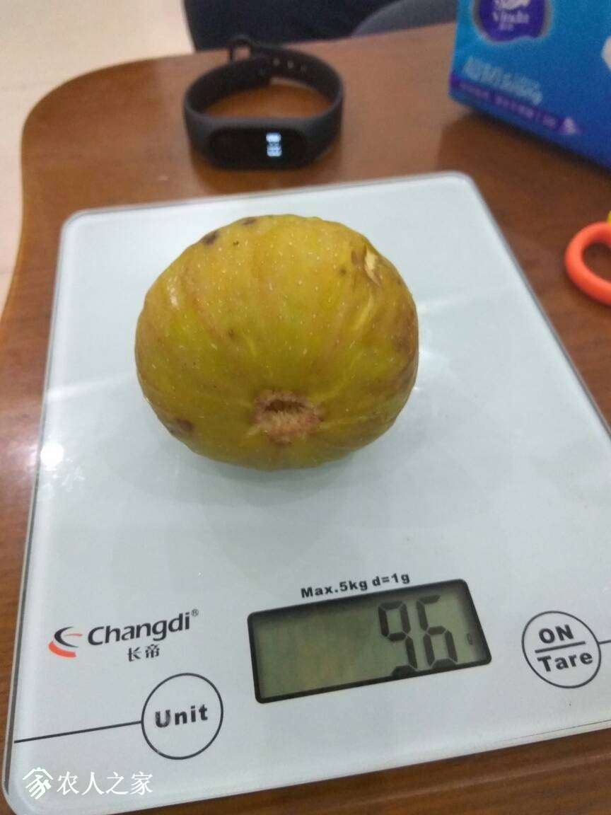 230441w1gjaxei2ijezent.jpg