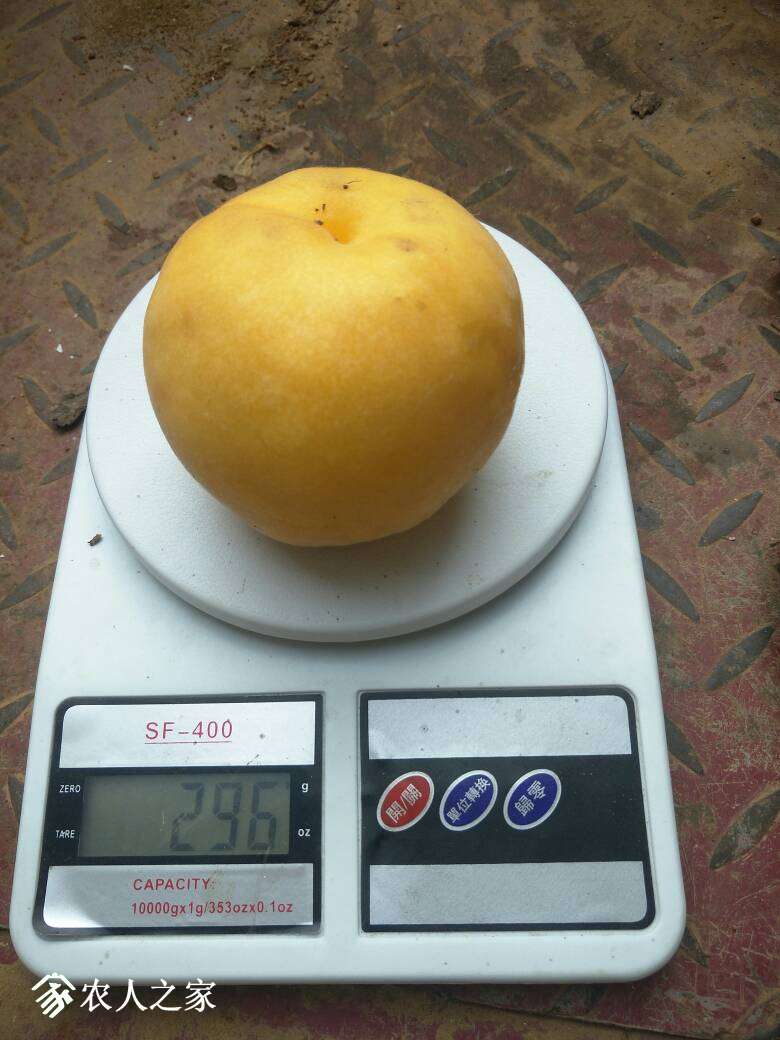 001628wu8mbc9zbbpauqax.jpg