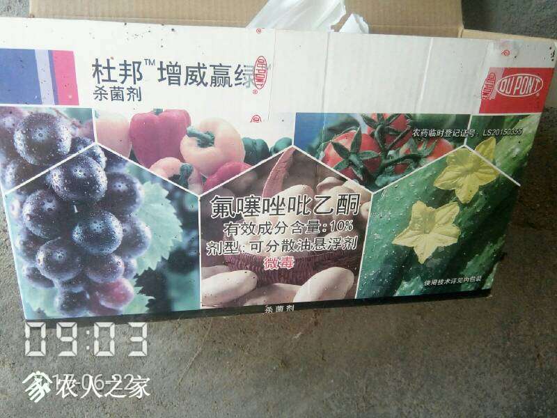 103704qtyzg5l2if2gwflf.jpg