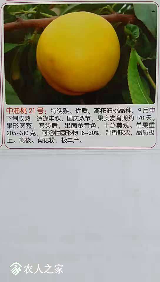 125012zfmommfo7wyml8ta.jpg