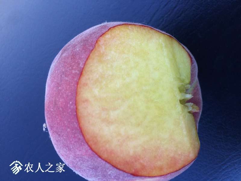 171038s58cgy857iich887.jpg
