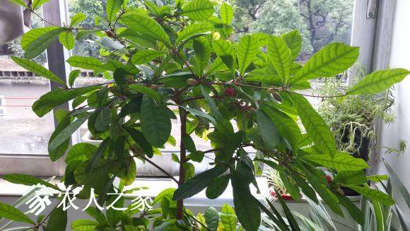 20170622_112730.jpg
