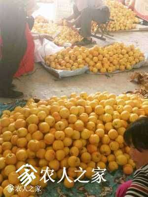 233641yocdbx2jidi3xjcb.jpg