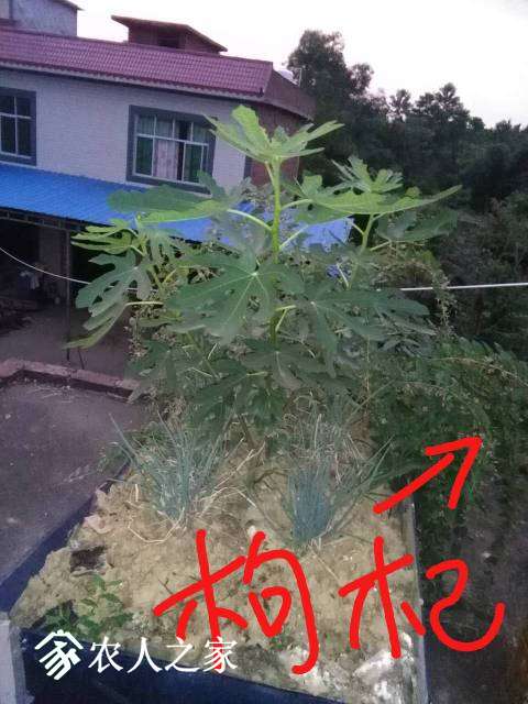 003020uwn0ywwfu9ng5zz4.jpg