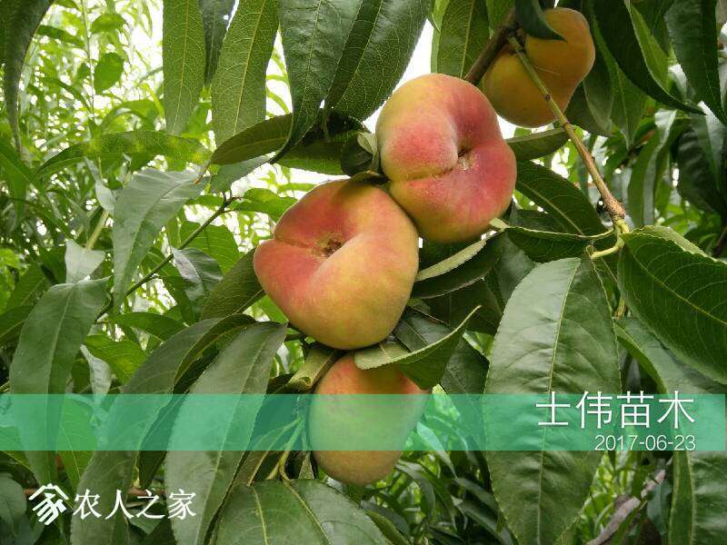 201114jc7fedwzkxffmcb7.jpg