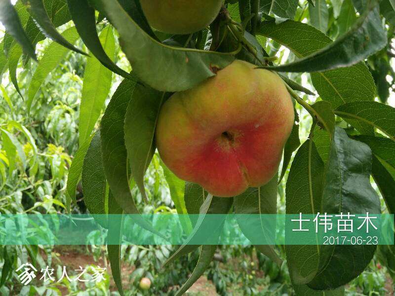 201114ui1e57jrj5u1gjt5.jpg