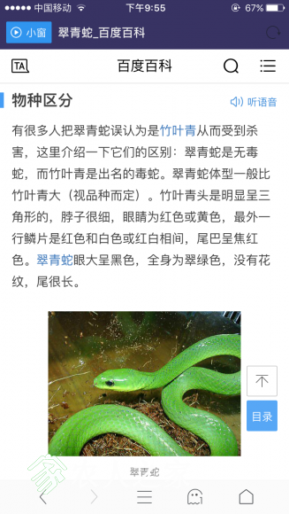 IMG_8498.PNG