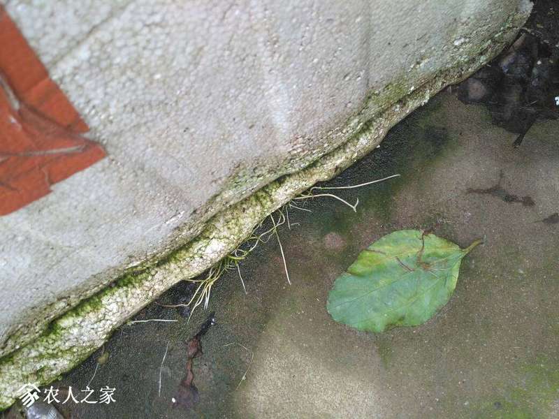 234320binndcvazitttvbx.jpg