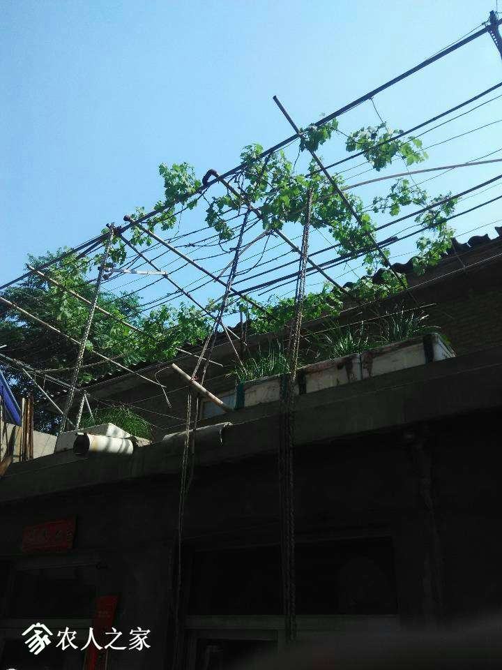 065357pz08tg8wm08ee8tl.jpg