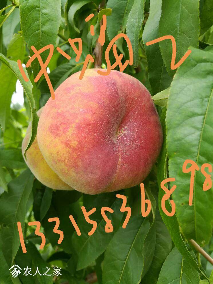 065629zp2eu4fuz4ltldrf.jpg