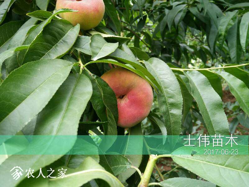 073055dou0eorq0p85obrk.jpg