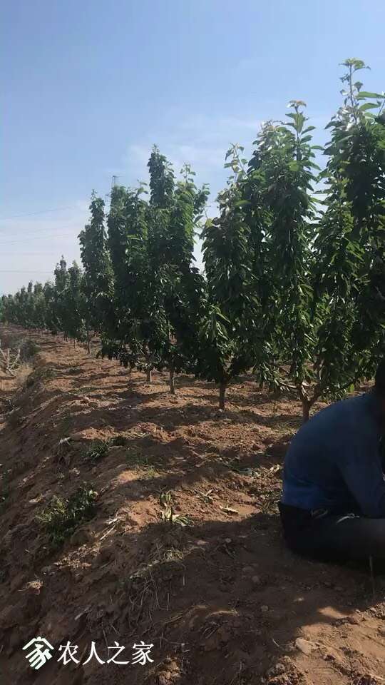 075441dbizjmaz3e0abeab.jpg