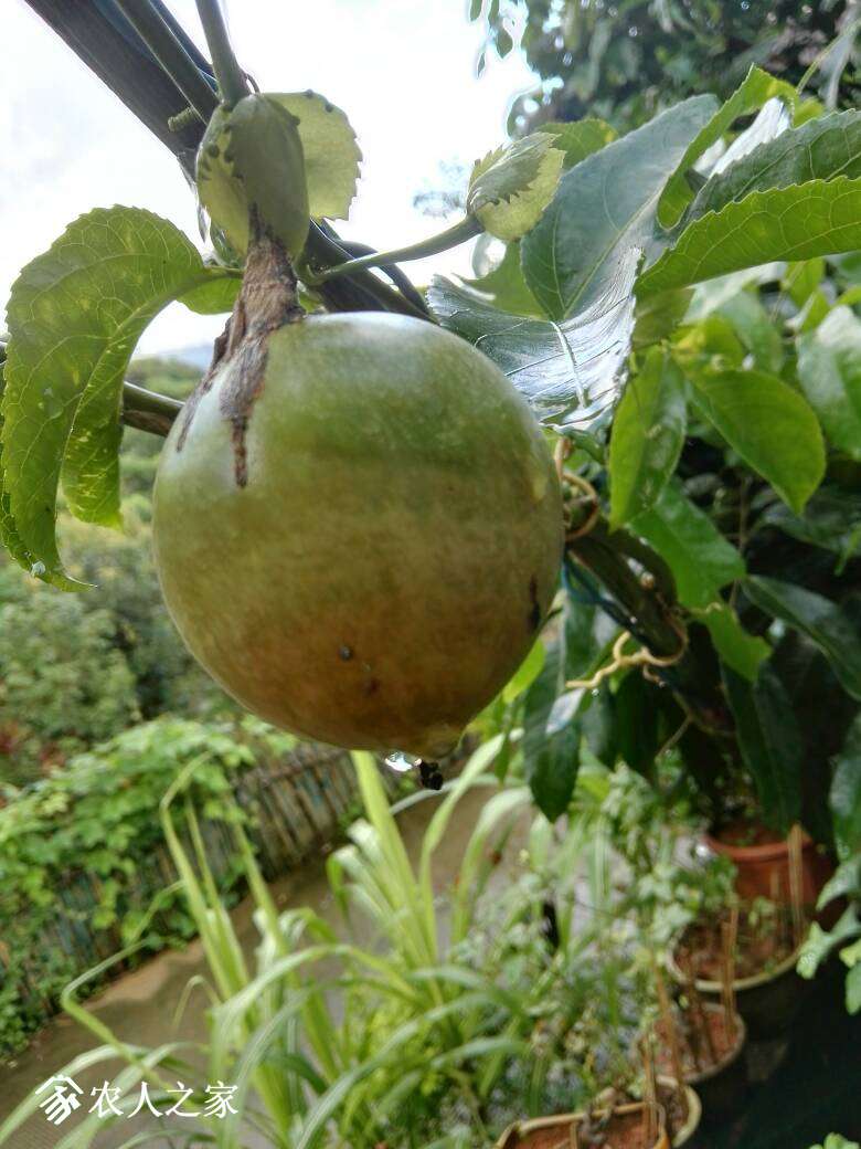 081422vodcuqqu06wg7vdq.jpg