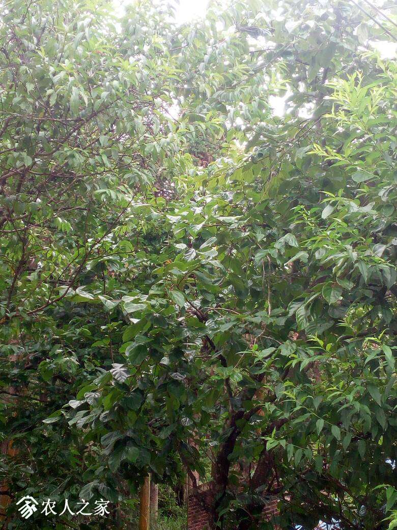 095710uy7t6dnpr7uhpxnd.jpg