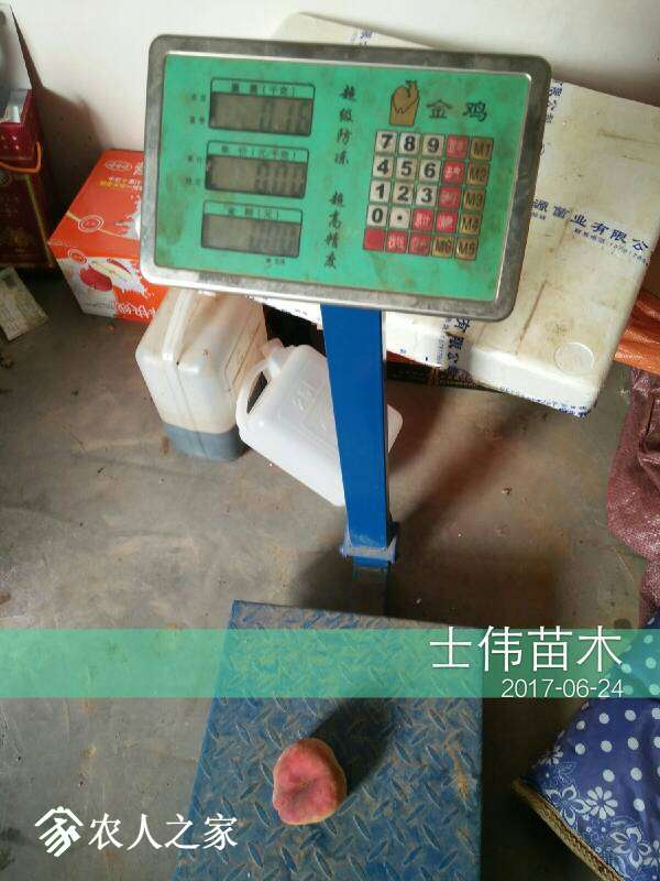 115931szx07sl7zh3qrwmd.jpg