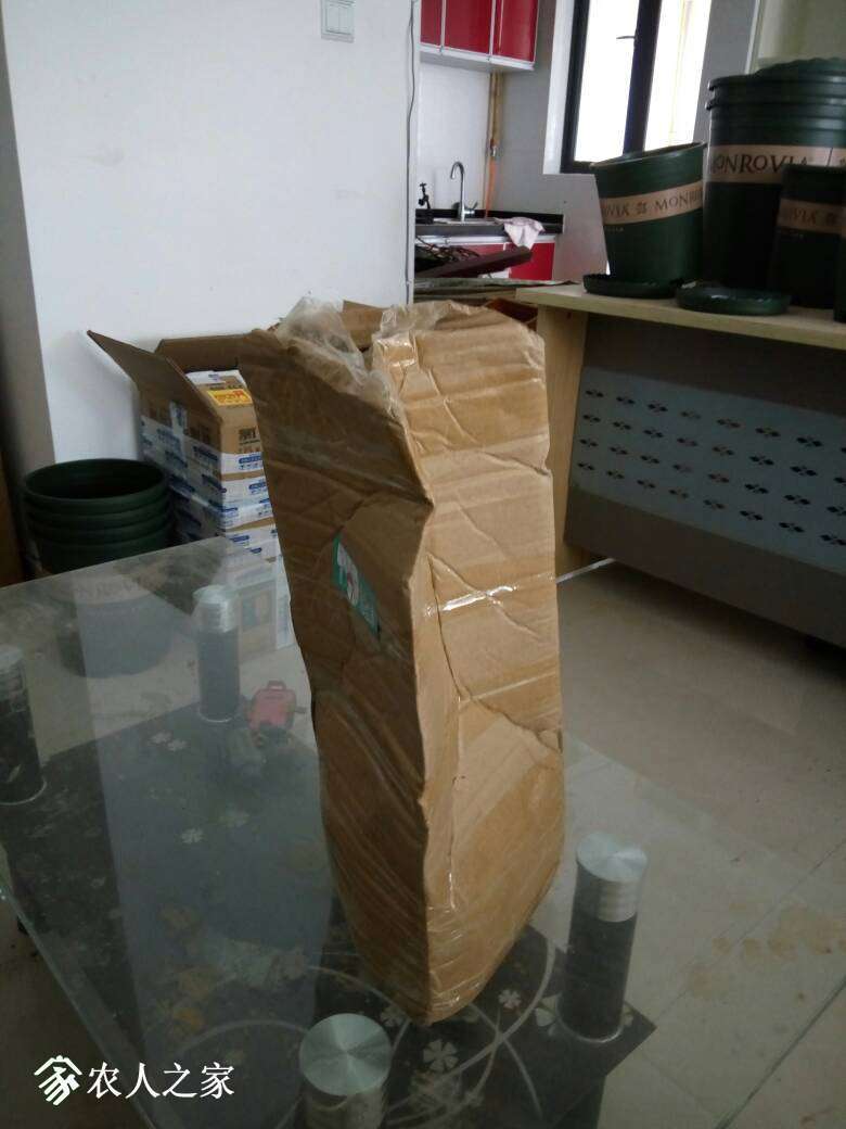 120850co8irpoz4exlw0ie.jpg