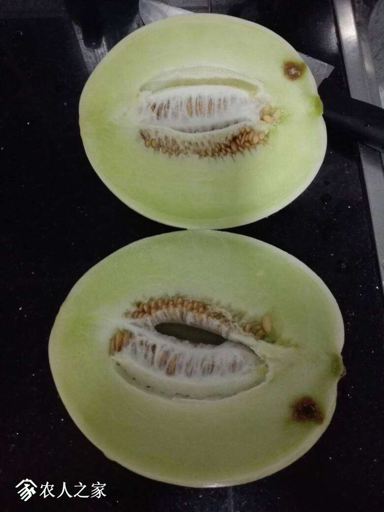 001001ke7wqnkfhyphq2gn.jpg