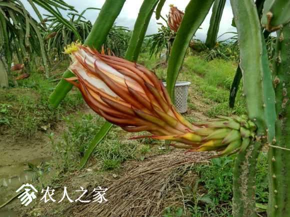 IMG_20170624_180104_HDR.jpg